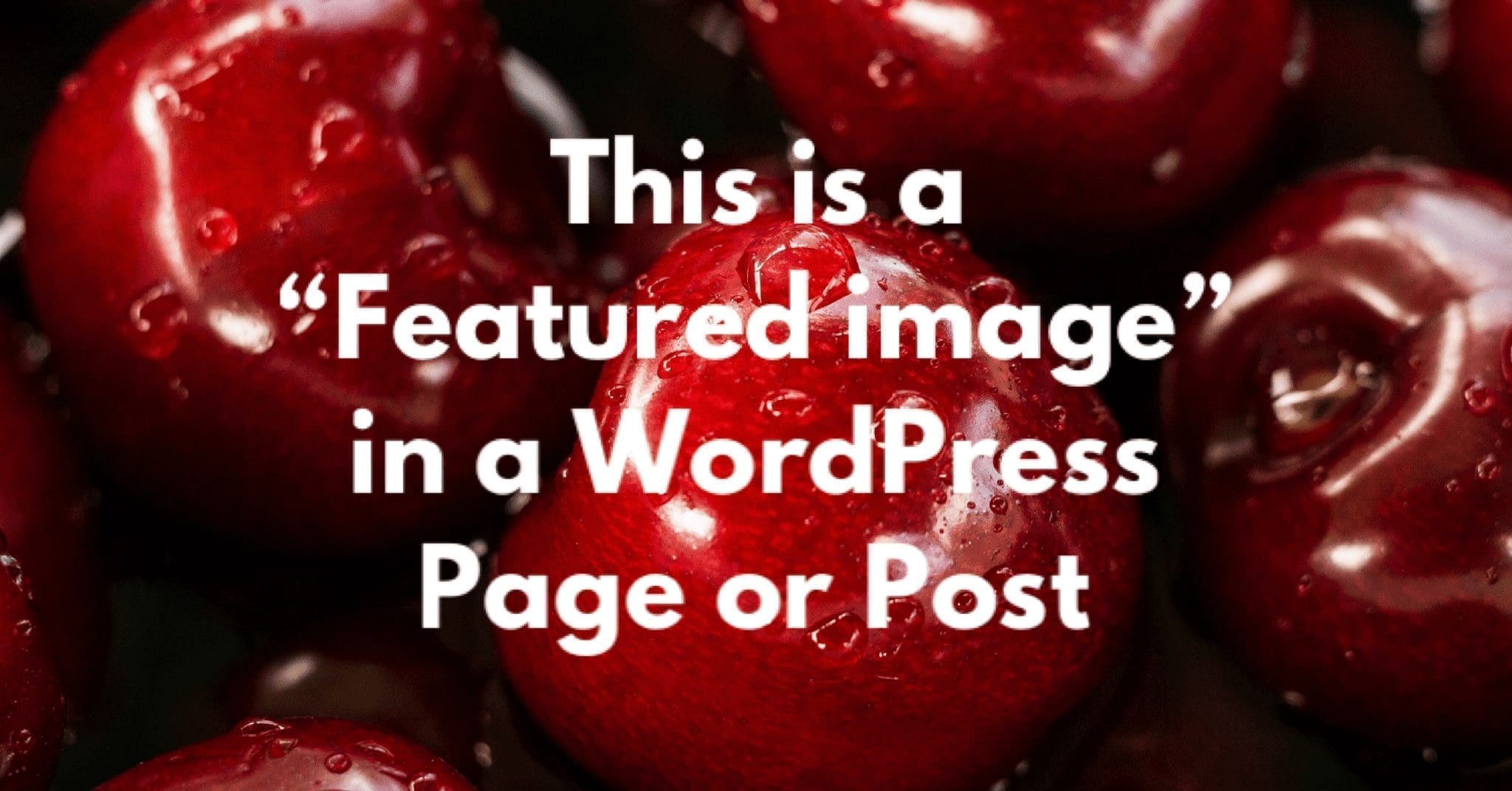 WordPress Featured Image Example for CyberGrapes